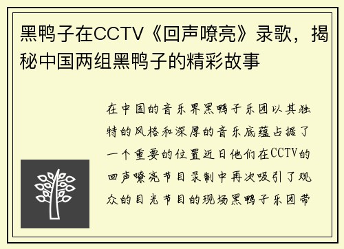 黑鸭子在CCTV《回声嘹亮》录歌，揭秘中国两组黑鸭子的精彩故事